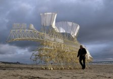 THE STRANDBEEST ARE COMING!