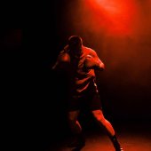 Shadow Boxing by James Gaddas