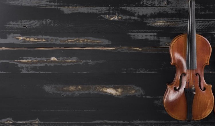 The Orchestra by Ophelia Novak