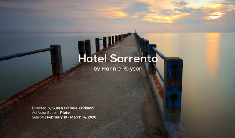 Hotel Sorrento by Hannie Rayson