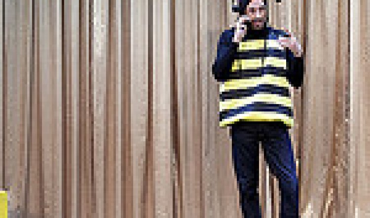 THE GOVERNMENT INSPECTOR