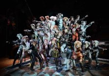 CATS THE MUSICAL