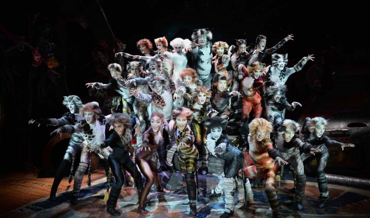 CATS THE MUSICAL