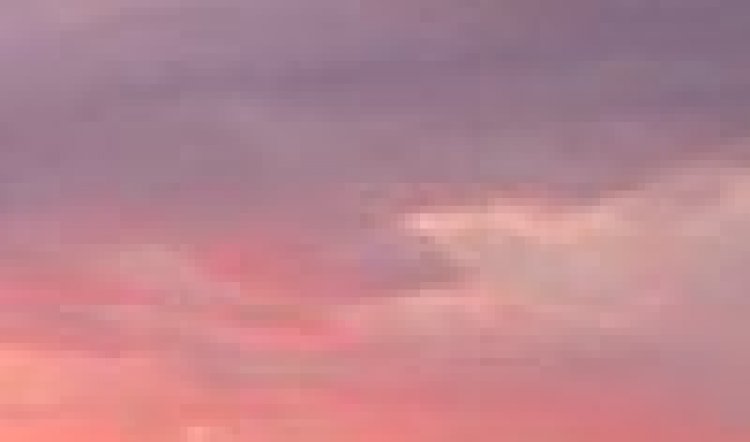 Victorian Bushfires Fundraiser