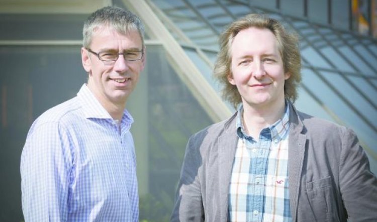 EVERYTHINGS COMING UP ROSES