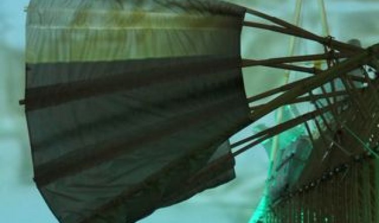 THE STRANDBEEST ARE COMING!