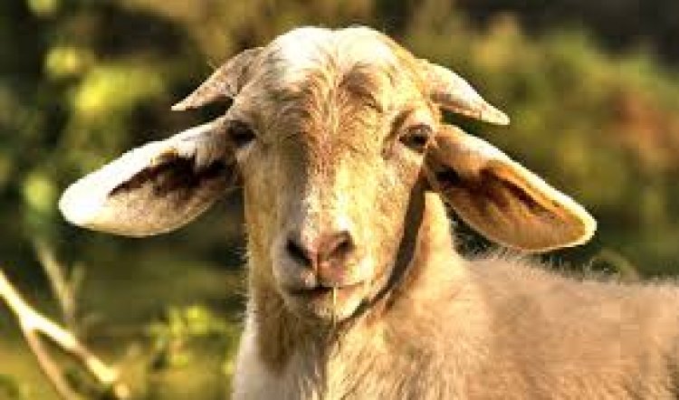 Happy New Year, Everyone!