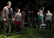 SYDNEY FESTIVAL - NEVER DID ME ANY HARM