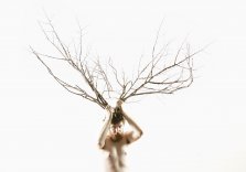 MELBOURNE FESTIVAL - LADY EATS APPLE