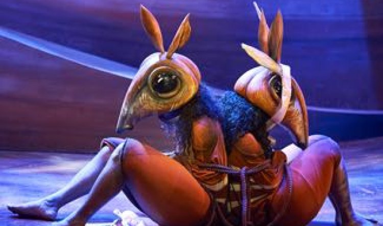 SYDFEST 2016 - THE RABBITS