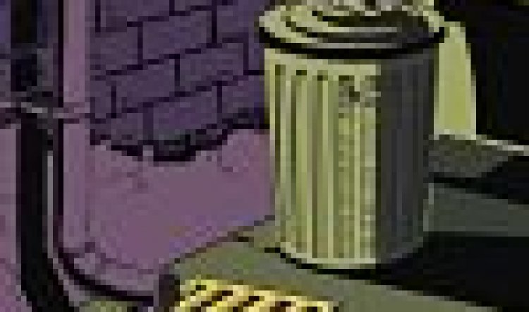 GRAPHIC AT THE OPERA HOUSE