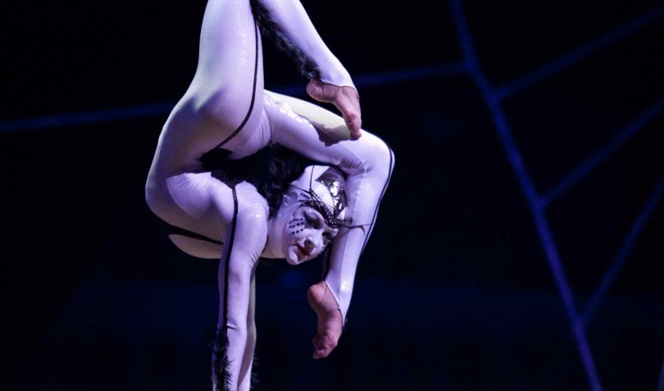 CIRQUE DU SOLEIL - OVO