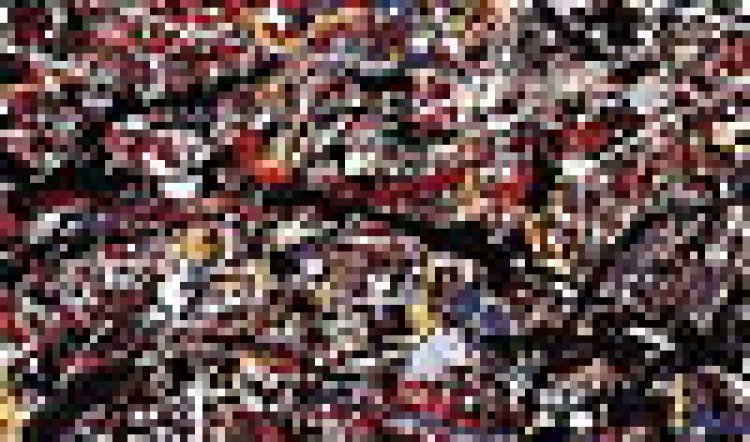 Pollocks to the experts!