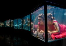 AQUASONIC - SYDNEY FESTIVAL