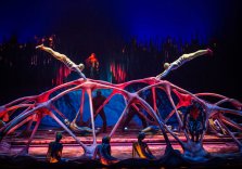 CIRQUE DU SOLEIL: TOTEM