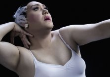 FAT SWAN (THE RETURN)