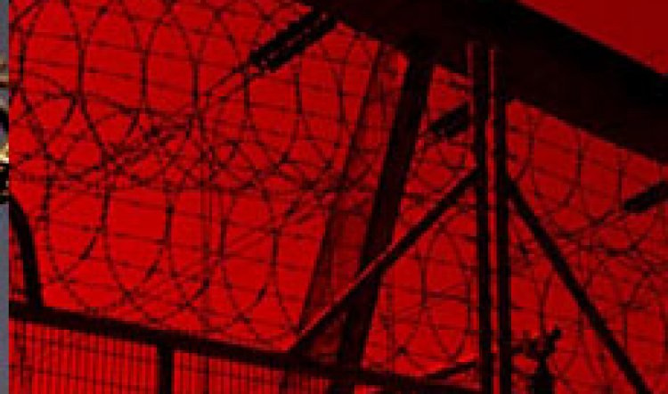 Fascinating Insights from Iraq