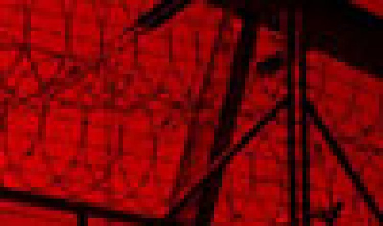 Fascinating Insights from Iraq