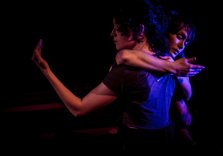 MELBOURNE FRINGE: DISTRACTION SOCIETY