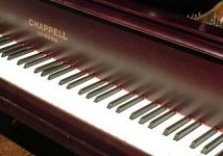 SYDNEY FESTIVAL/THE PIANIST