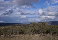 A pox on both their houses