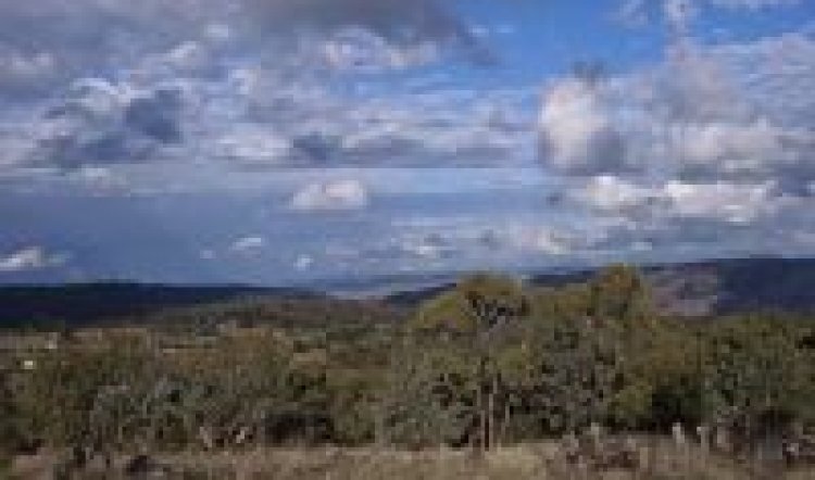 A pox on both their houses