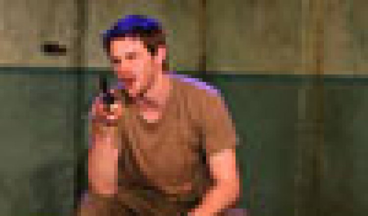 The Modern International Dead