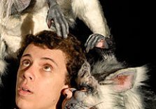 SYDNEY FESTIVAL/THE NARGUN AND THE STARS