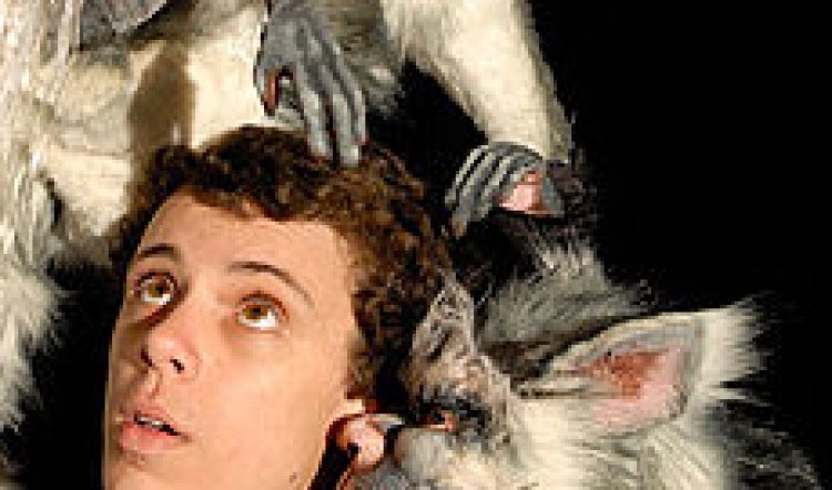 SYDNEY FESTIVAL/THE NARGUN AND THE STARS