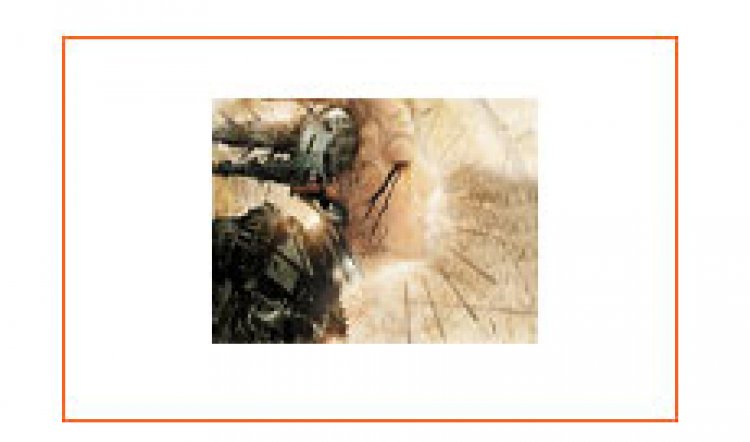 CD: Nine Destinies and a Downfall