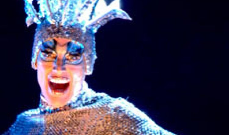 Priscilla - Six months on the Road