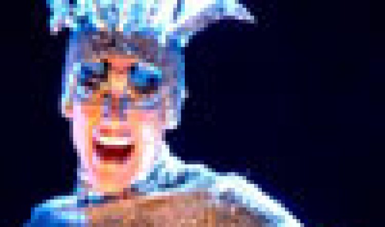 Priscilla - Six months on the Road