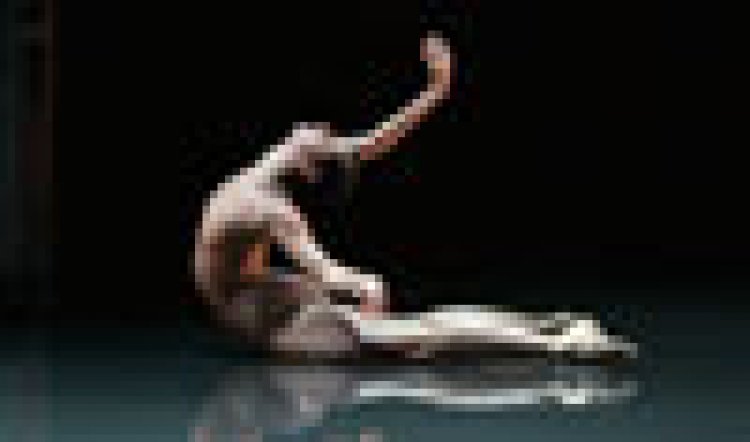 Sydney Festival 08 - Alas Three Works