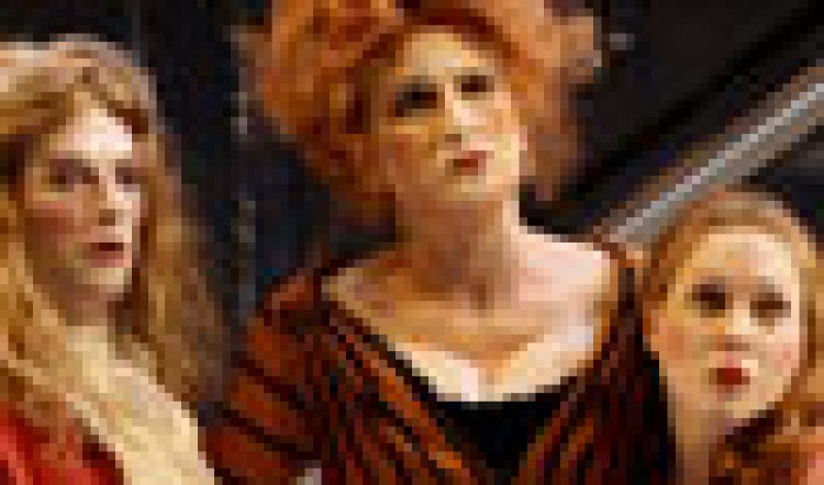 Wondering in Wonderland