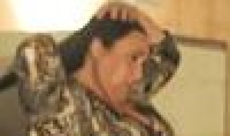 Sydney Festival - The Fence