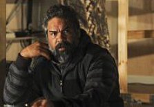 Sydney Festival - The Fence